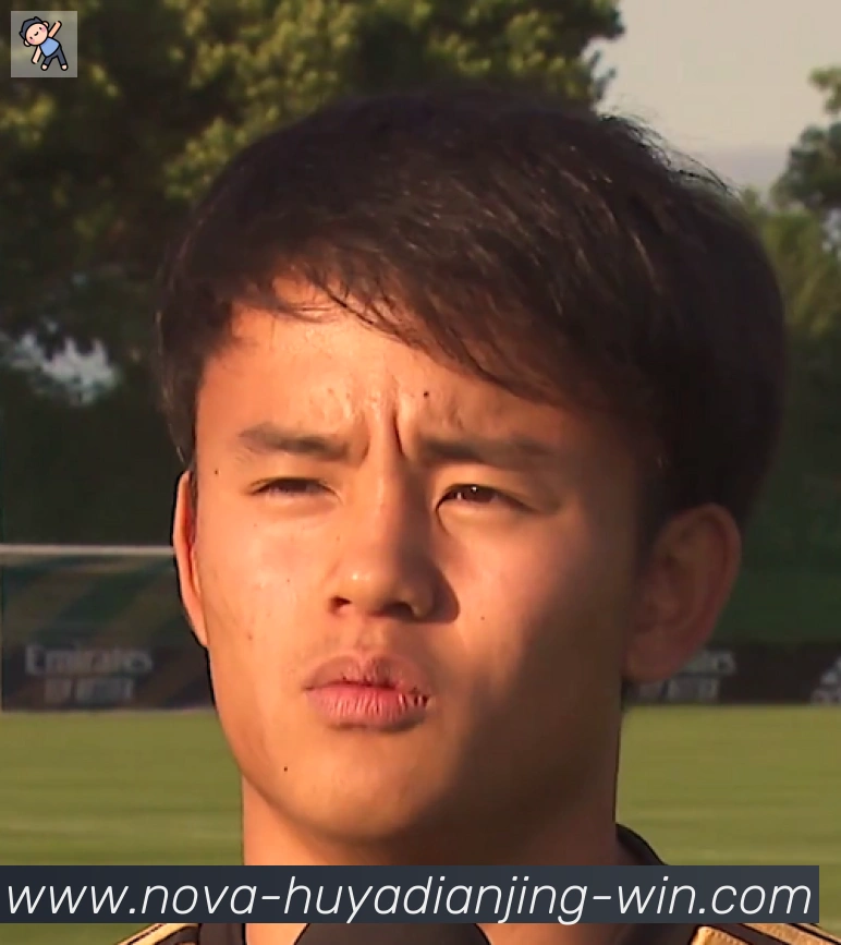 维尼修斯